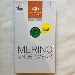 Men’s Icebreaker Merino Wool Underwear